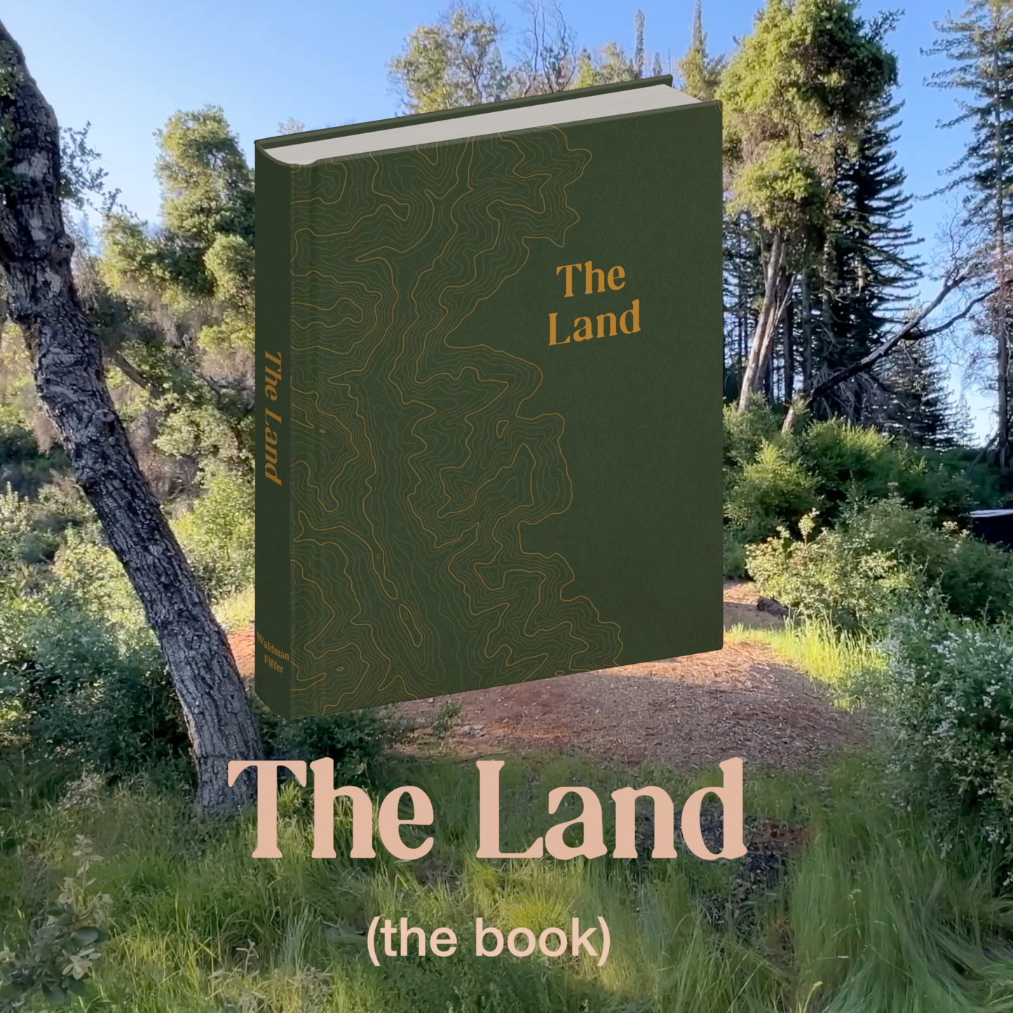 The Land