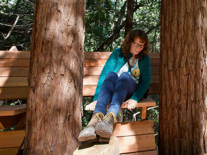 Tree Deck Plans
