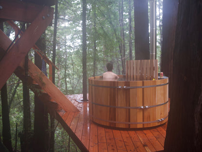 Tree Deck Plans