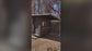 Modern Outhouse Plans
