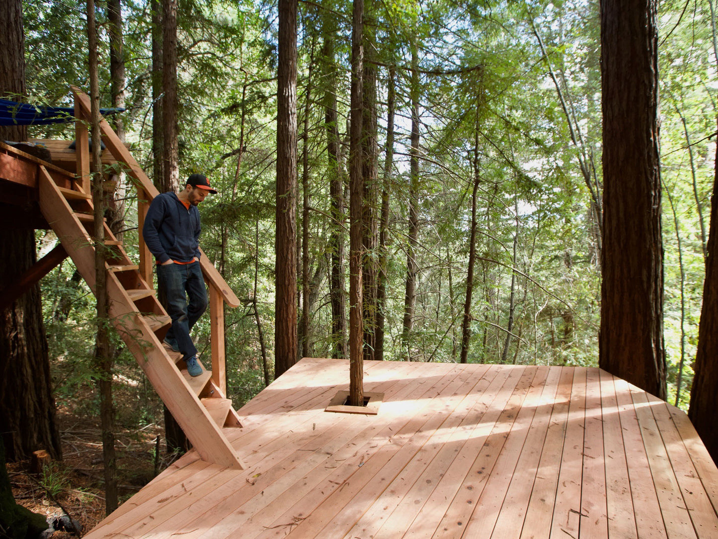 Tree Deck Plans
