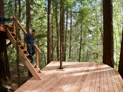 Tree Deck Plans