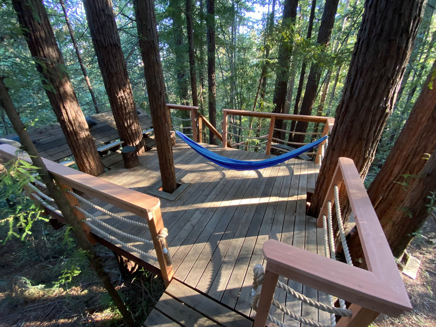 Tree Deck Plans