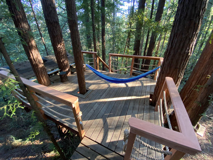 Tree Deck Plans