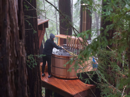 Tree Deck Plans