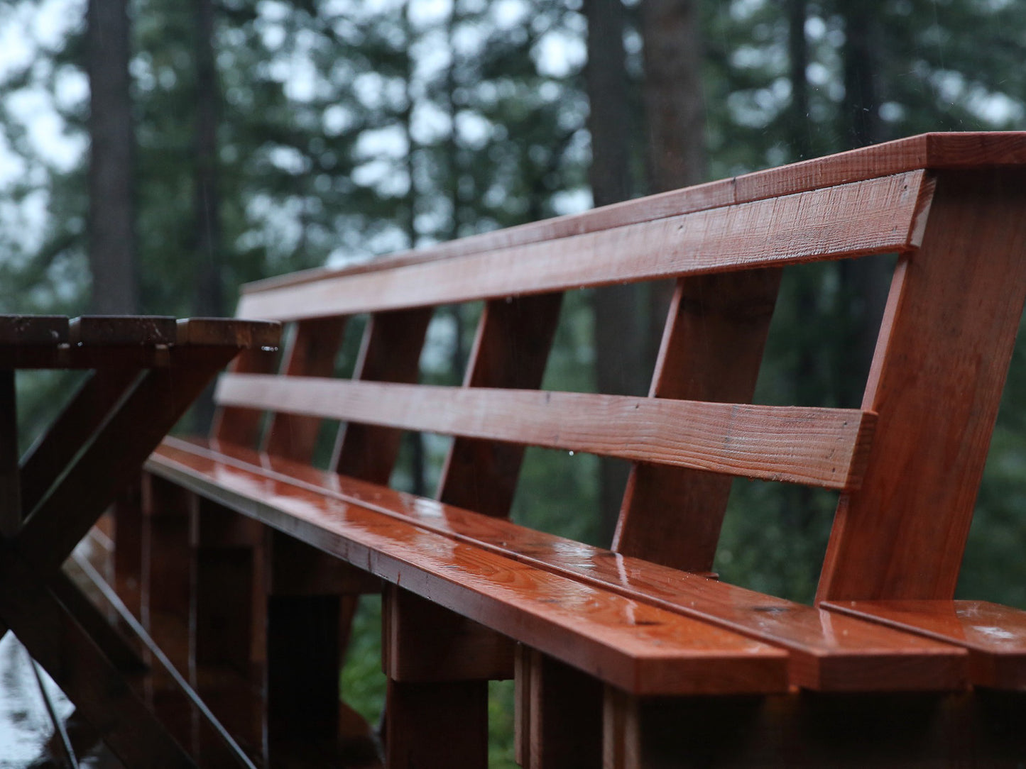 Tree Deck Plans