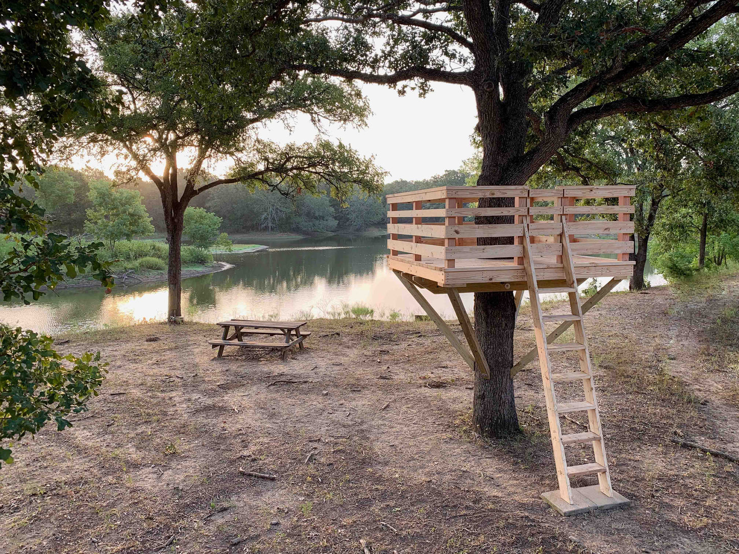 Tree Fort Plans